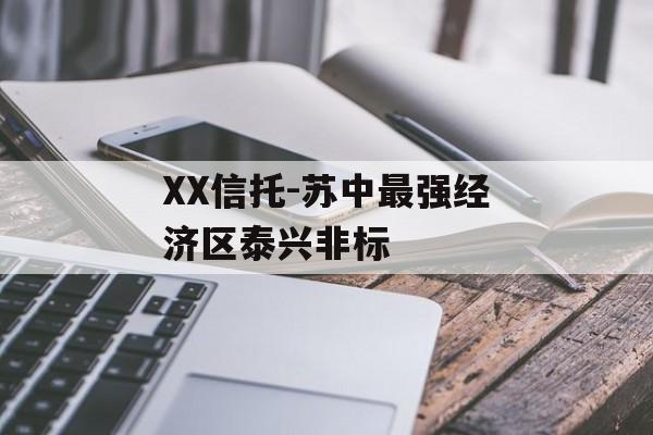 XX信托-苏中最强经济区泰兴非标