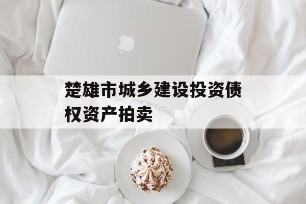 楚雄市城乡建设投资债权资产拍卖