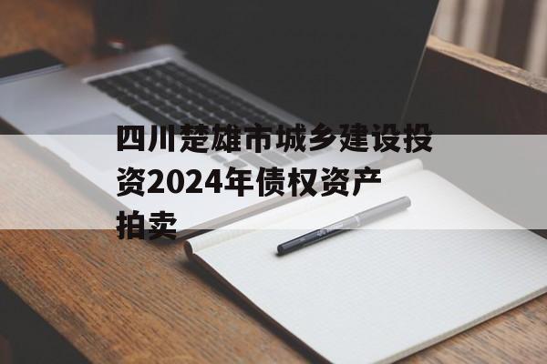 四川楚雄市城乡建设投资2024年债权资产拍卖