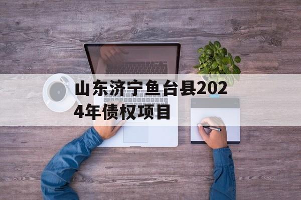 山东济宁鱼台县2024年债权项目