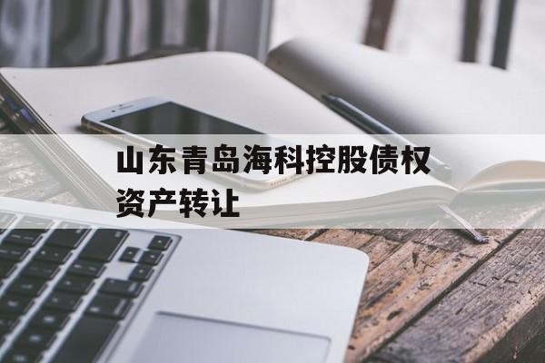 山东青岛海科控股债权资产转让