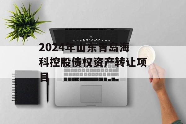 2024年山东青岛海科控股债权资产转让项目
