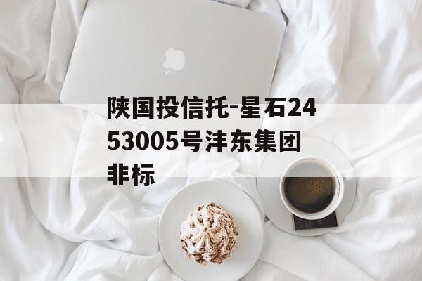 陕国投信托-星石2453005号沣东集团非标