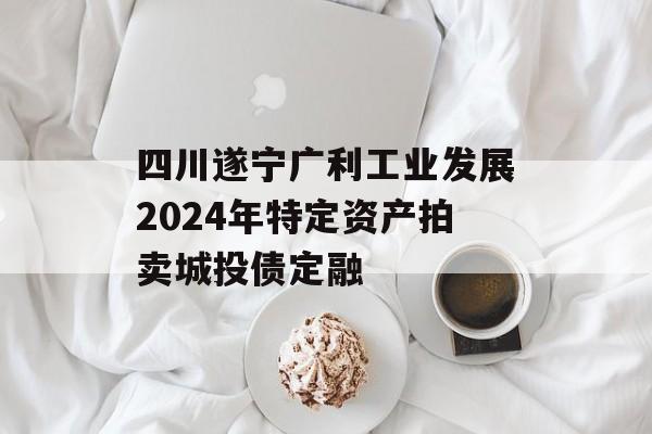 四川遂宁广利工业发展2024年特定资产拍卖城投债定融