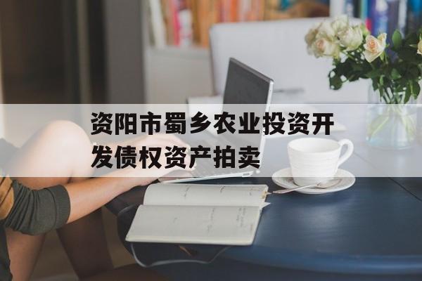 资阳市蜀乡农业投资开发债权资产拍卖