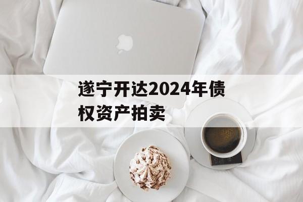 遂宁开达2024年债权资产拍卖