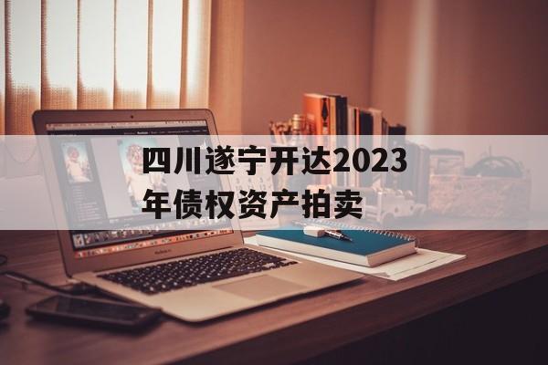 四川遂宁开达2023年债权资产拍卖