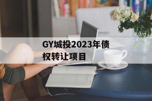 GY城投2023年债权转让项目