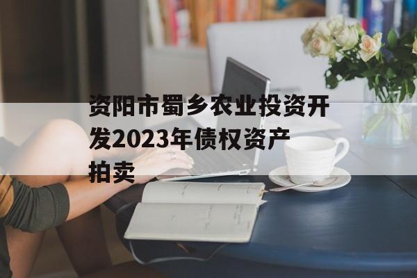 资阳市蜀乡农业投资开发2023年债权资产拍卖