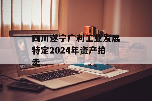 四川遂宁广利工业发展特定2024年资产拍卖