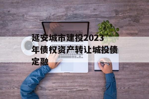延安城市建投2023年债权资产转让城投债定融