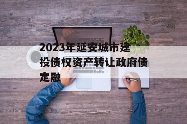2023年延安城市建投债权资产转让政府债定融