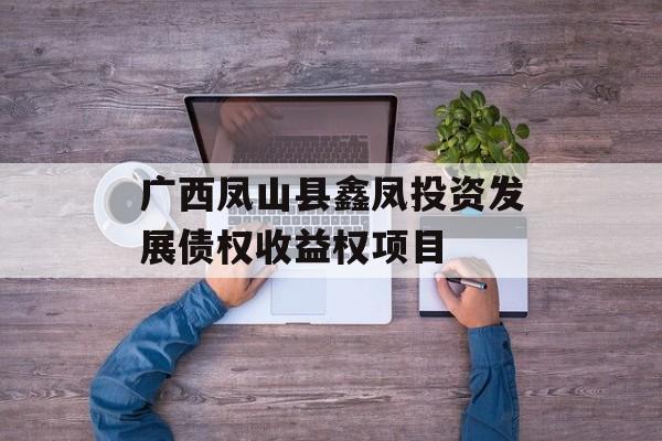 广西凤山县鑫凤投资发展债权收益权项目