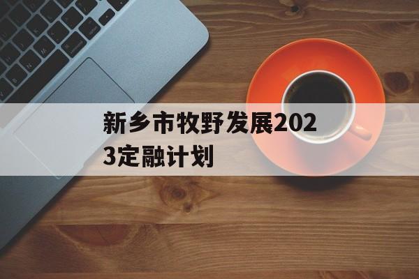 新乡市牧野发展2023定融计划