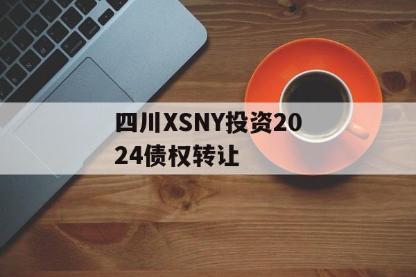 四川XSNY投资2024债权转让