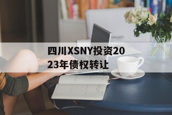 四川XSNY投资2023年债权转让