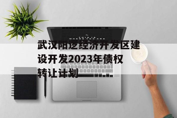 武汉阳逻经济开发区建设开发2023年债权转让计划