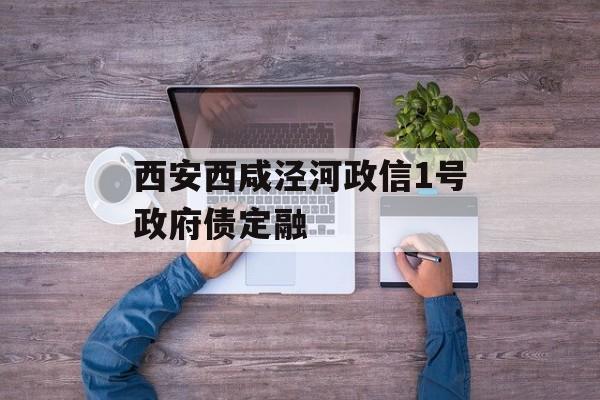 西安西咸泾河政信1号政府债定融