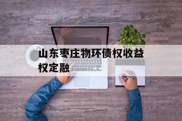 山东枣庄物环债权收益权定融