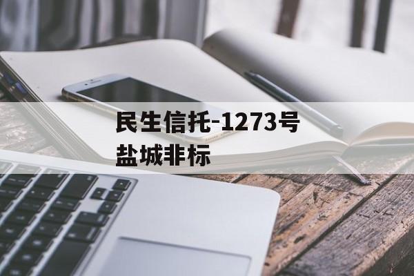 民生信托-1273号盐城非标