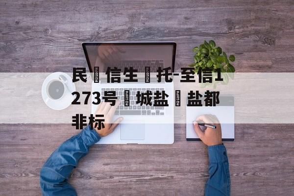 民‮信生‬托-至信1273号‮城盐‬盐都非标