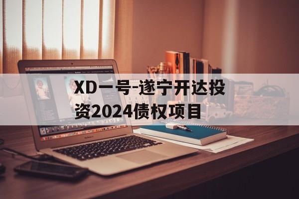 XD一号-遂宁开达投资2024债权项目