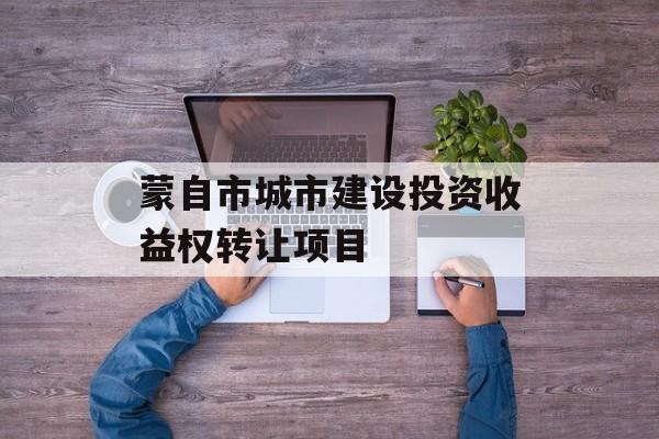 蒙自市城市建设投资收益权转让项目