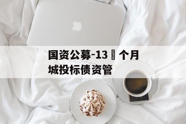 国资公募-13 个月城投标债资管