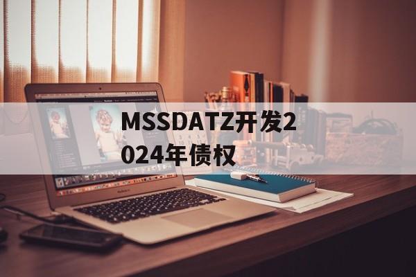 MSSDATZ开发2024年债权