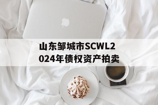 山东邹城市SCWL2024年债权资产拍卖