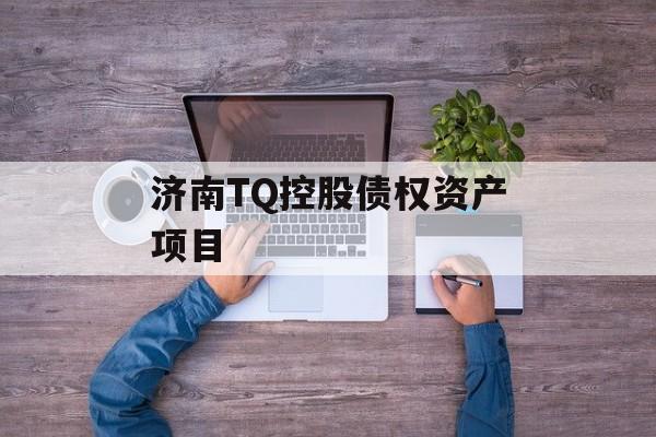 济南TQ控股债权资产项目