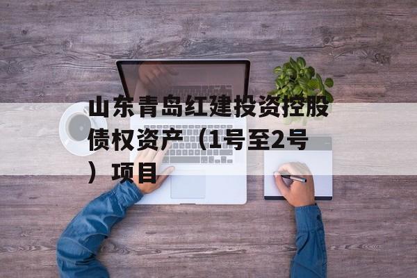 山东青岛红建投资控股债权资产（1号至2号）项目