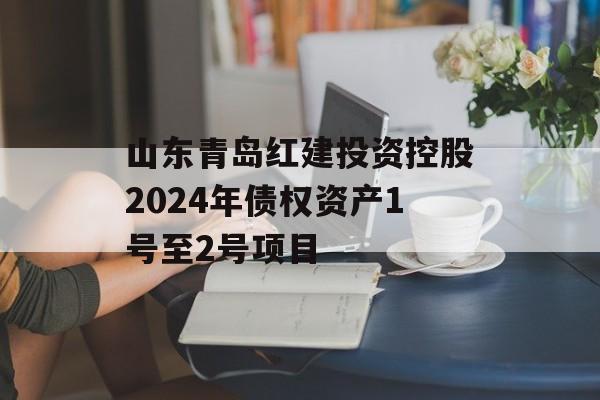 山东青岛红建投资控股2024年债权资产1号至2号项目