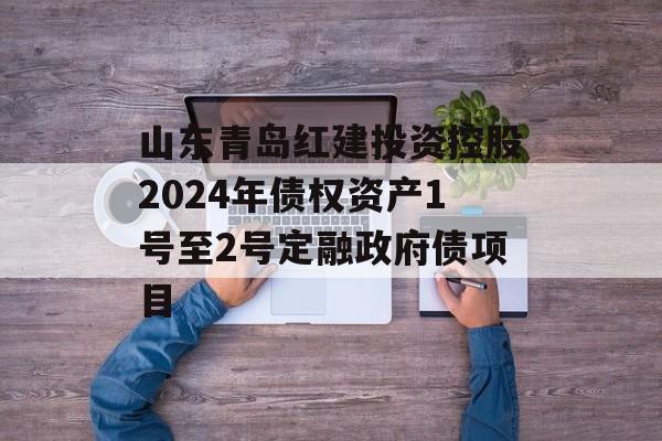 山东青岛红建投资控股2024年债权资产1号至2号定融政府债项目