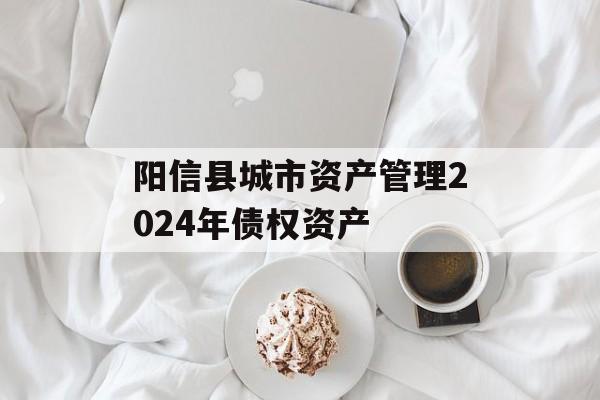 阳信县城市资产管理2024年债权资产