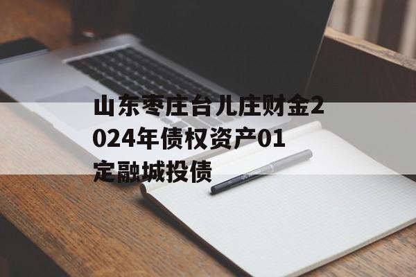 山东枣庄台儿庄财金2024年债权资产01定融城投债