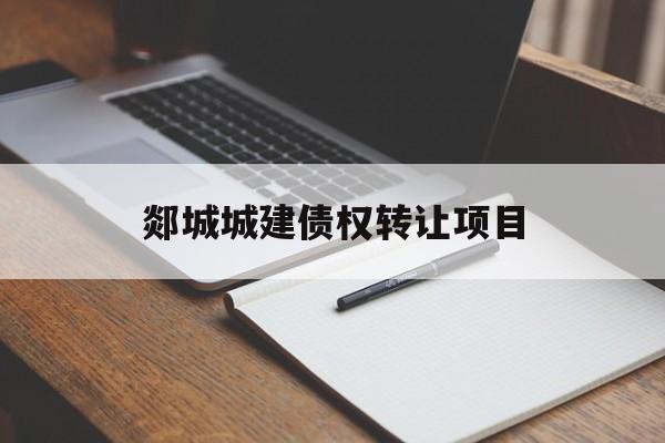 郯城城建债权转让项目