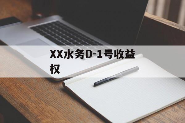 XX水务D-1号收益权