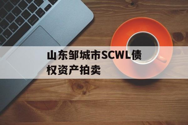 山东邹城市SCWL债权资产拍卖