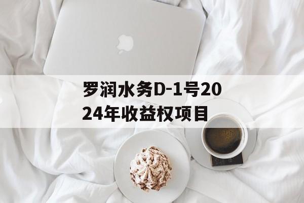 罗润水务D-1号2024年收益权项目