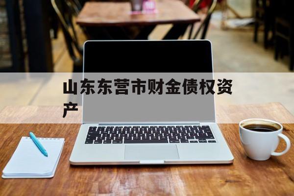 山东东营市财金债权资产