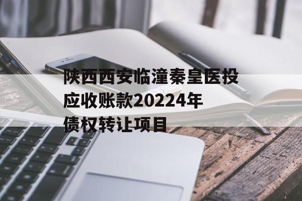 陕西西安临潼秦皇医投应收账款20224年债权转让项目