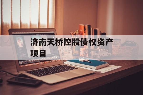 济南天桥控股债权资产项目