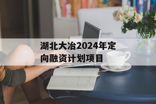 湖北大冶2024年定向融资计划项目