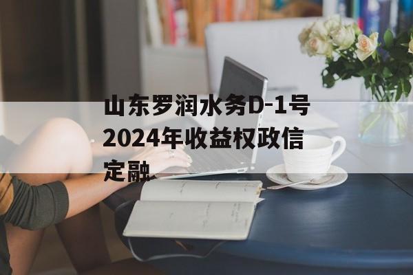 山东罗润水务D-1号2024年收益权政信定融
