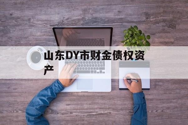 山东DY市财金债权资产