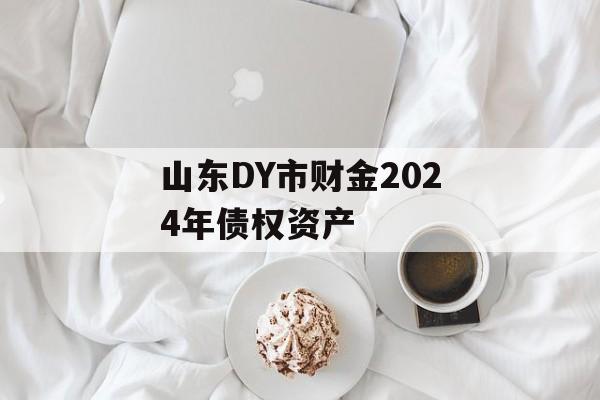 山东DY市财金2024年债权资产