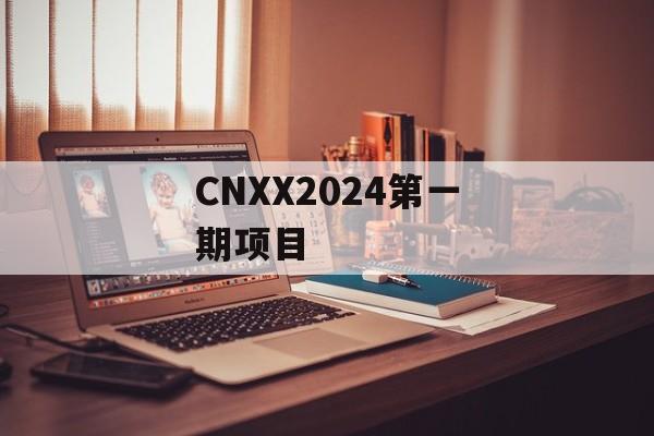 CNXX2024第一期项目