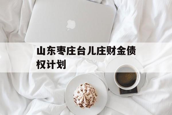 山东枣庄台儿庄财金债权计划