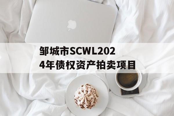 邹城市SCWL2024年债权资产拍卖项目